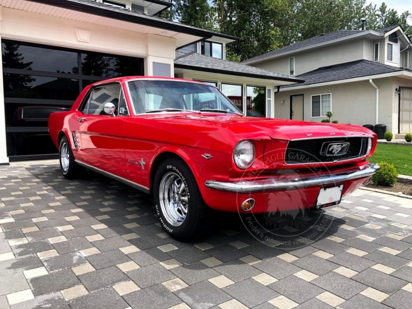 Veterán Ford Mustang Coupe 1966