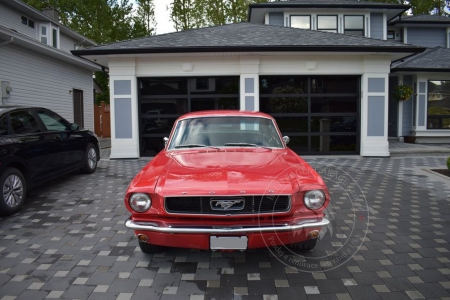Veterán Ford Mustang Coupe 1966