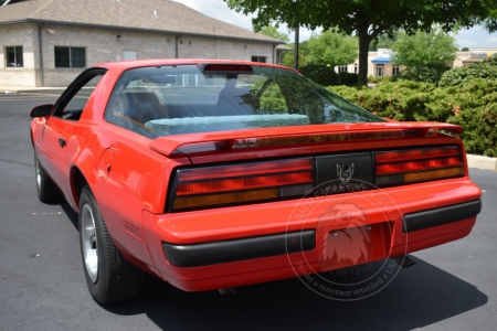Veterán Pontiac Firebird 1986